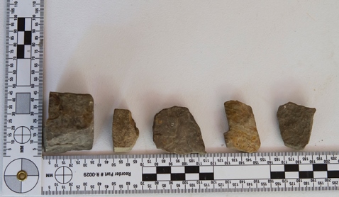 A few of the rocks collected by NAWAC teams from the corrugated metal roofs of camp structures. Photo: Rick Hayes