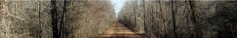 Road-sm
